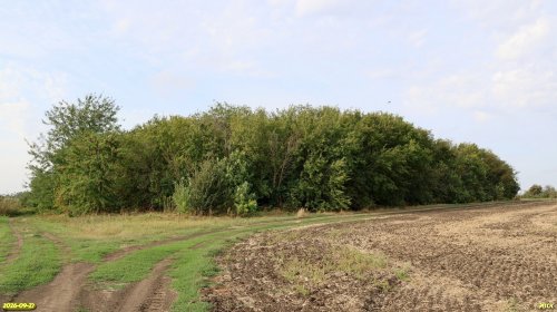 Черниговский Кут