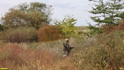 Координатор ЭВСК А.Рудомаха определяет виды растений в Урочище Южно-Черниговское
