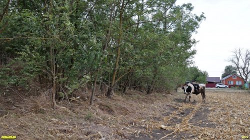 Курган Восточно-Кондруцкий расположен в восточной части хутора Харьково-Полтавский