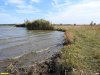 Северо-Заревские луга находятся на левом берегу реки Бейсуг
