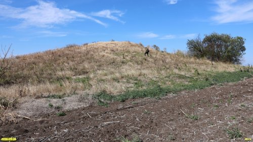 Курган Платоновский