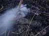 Пожар в районе Бриньковской