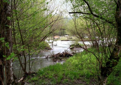 Река Андрюк в районе станицы Андрюки