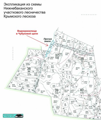 Схема расположения водохранилища в Чубуковой щели на землях лесного фонда