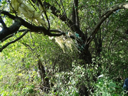 Тимашевск Свалка