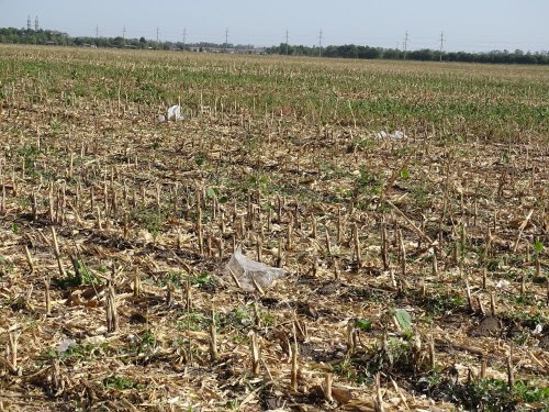 Тимашевск Свалка