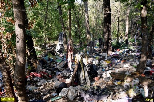 Замусоренная лесополоса за территорией мусорного полигона