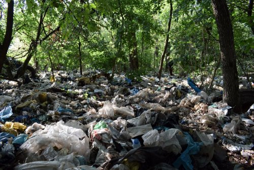 Тимашевск Свалка