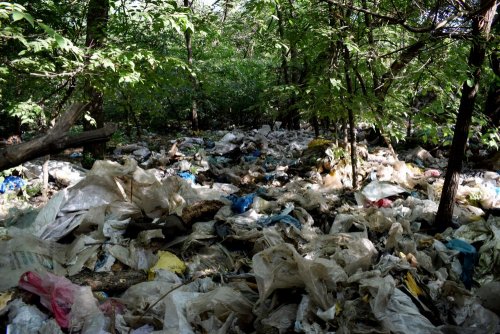 Тимашевск Свалка