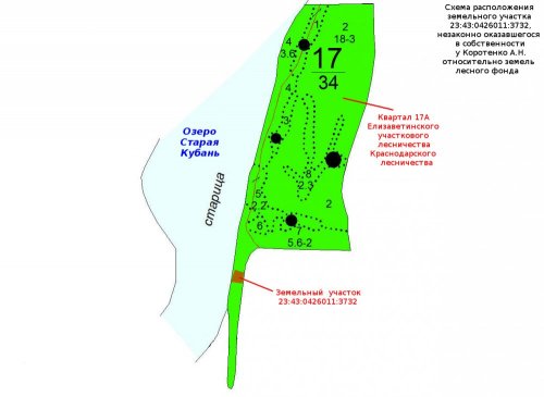 Схема расположения одного из незаконно приватизированных участков лесного фонда на берегу Старой Кубани в Краснодаре