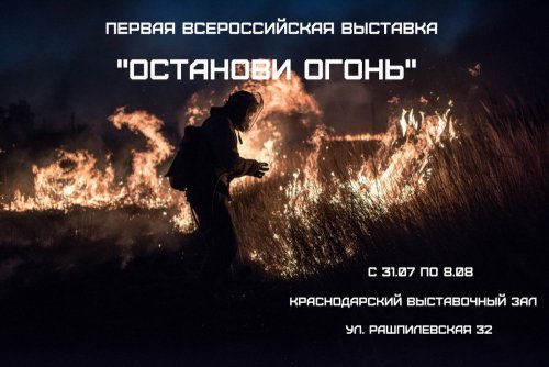 31 июля - 8 августа 2018_Выставка "Останови огонь" в Краснодаре