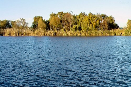 Река Бейсужёк Левый в станице Новобейсугской