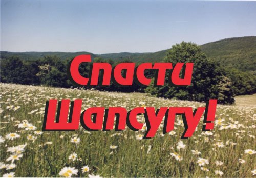 Спасти Шапсугу!