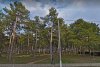 ООПТ "Сосновая роща" (Кавказский район, Кропоткинское городское поселение)