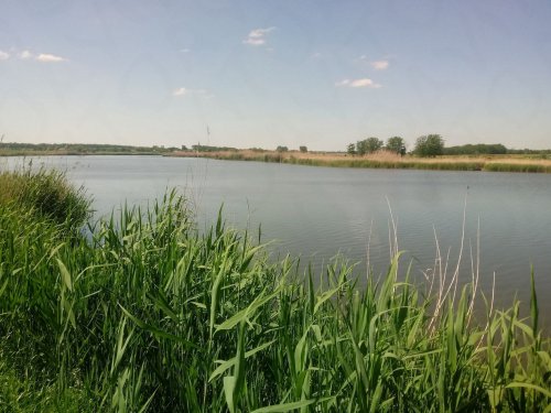Река Сосыка (Староминский район)